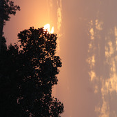 karan jaat