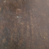FUCK dog