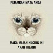 tok anjang
