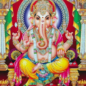 Sdrohit