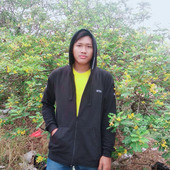 pendisu