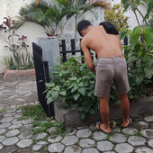 Rifan